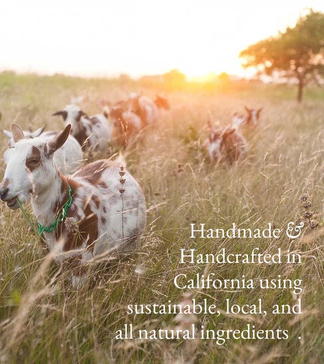 Fragrance Free | Goat Milk Hand & Body Lotion